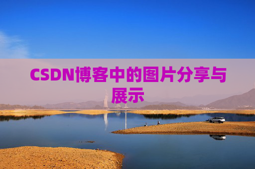 CSDN博客中的图片分享与展示